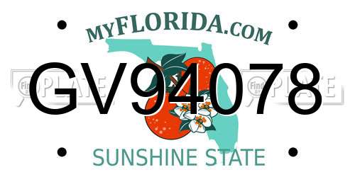 GV94078 Florida License Plate