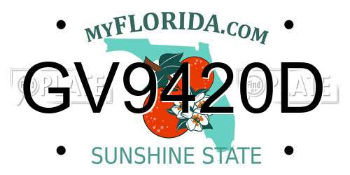 GV9420D Florida License Plate