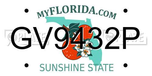 GV9432P Florida License Plate