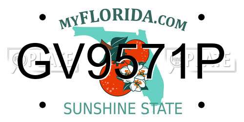 GV9571P Florida License Plate