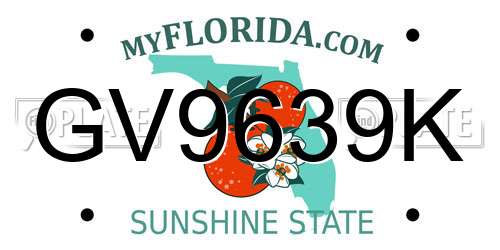 GV9639K Florida License Plate