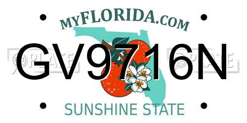 GV9716N Florida License Plate