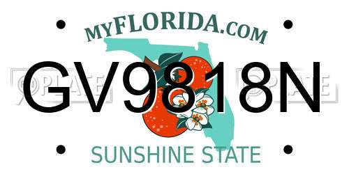 GV9818N Florida License Plate