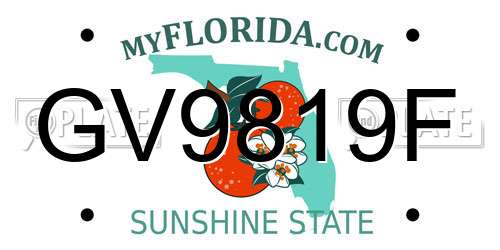 GV9819F Florida License Plate