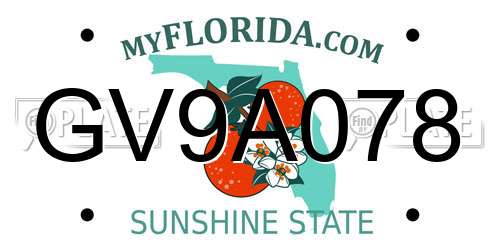 GV9A078 Florida License Plate