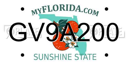 GV9A200 Florida License Plate