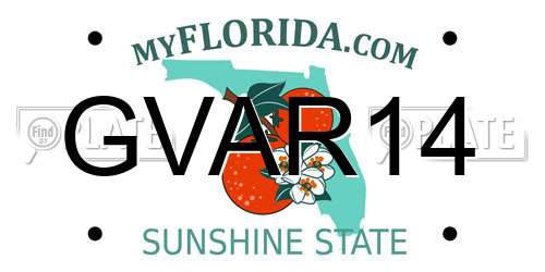 GVAR14 Florida License Plate