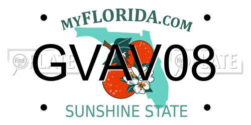 GVAV08 Florida License Plate