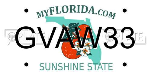 GVAW33 Florida License Plate