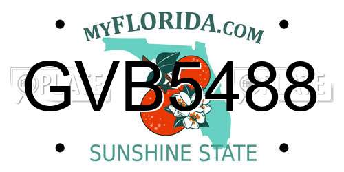 GVB5488 Florida License Plate