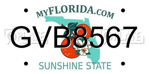 GVB8567 Florida License Plate