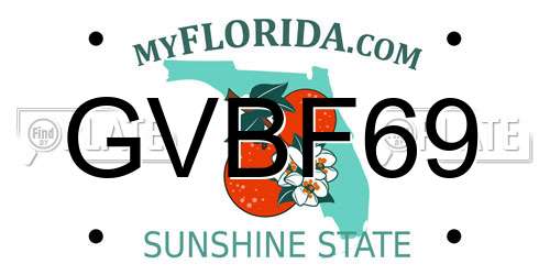 GVBF69 Florida License Plate