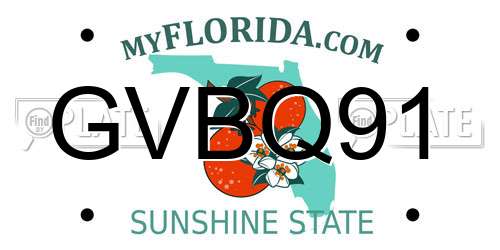 GVBQ91 Florida License Plate