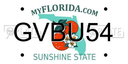 GVBU54 Florida License Plate