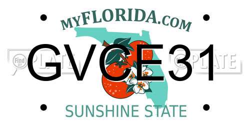 GVCE31 Florida License Plate
