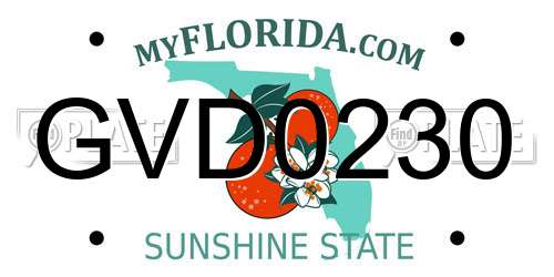 GVD0230 Florida License Plate
