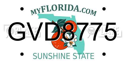 GVD8775 Florida License Plate