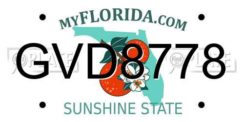 GVD8778 Florida License Plate