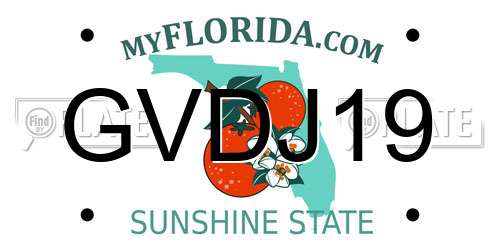 GVDJ19 Florida License Plate