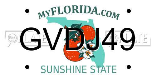 GVDJ49 Florida License Plate