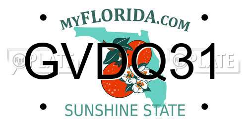 GVDQ31 Florida License Plate