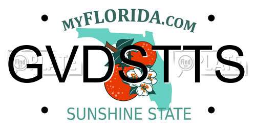 GVDSTTS Florida License Plate