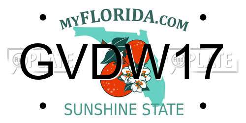 GVDW17 Florida License Plate