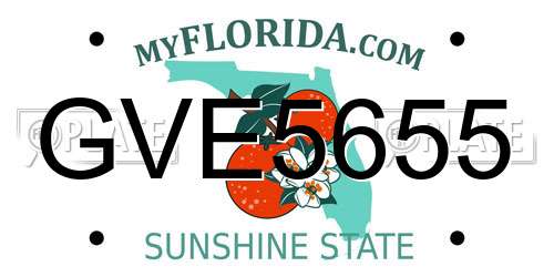 GVE5655 Florida License Plate