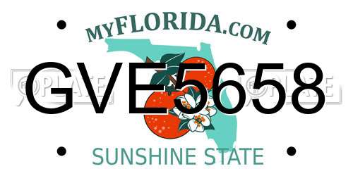 GVE5658 Florida License Plate