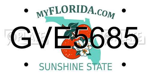 GVE5685 Florida License Plate