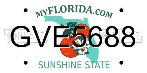 GVE5688 Florida License Plate