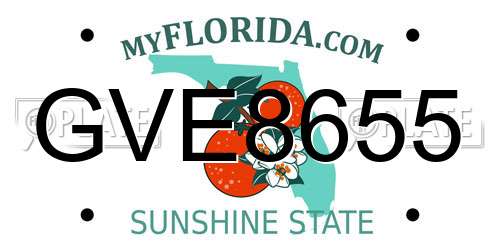 GVE8655 Florida License Plate