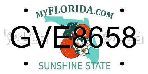 GVE8658 Florida License Plate