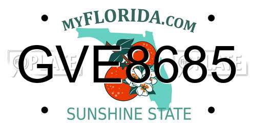 GVE8685 Florida License Plate