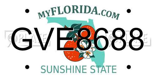 GVE8688 Florida License Plate