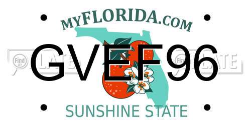 GVEF96 Florida License Plate