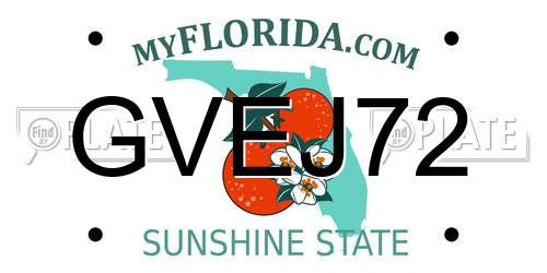 GVEJ72 Florida License Plate