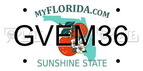GVEM36 Florida License Plate
