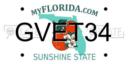 GVET34 Florida License Plate
