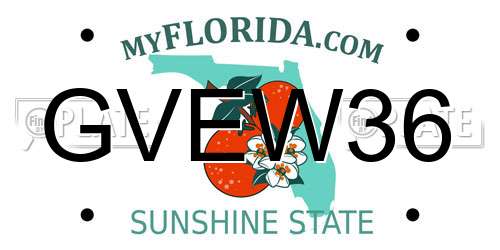 GVEW36 Florida License Plate