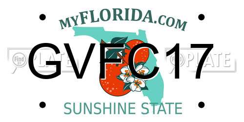 GVFC17 Florida License Plate