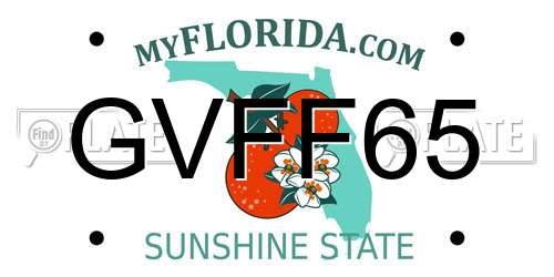 GVFF65 Florida License Plate