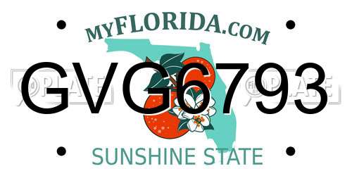 GVG6793 Florida License Plate
