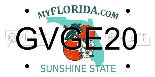 GVGE20 Florida License Plate