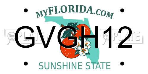 GVGH12 Florida License Plate