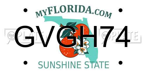 GVGH74 Florida License Plate