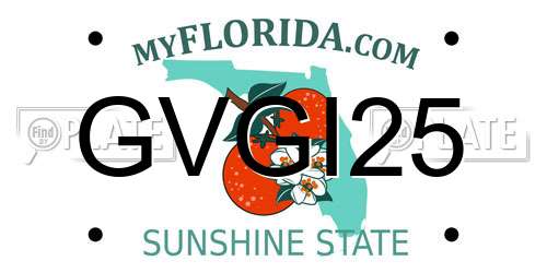 GVGI25 Florida License Plate