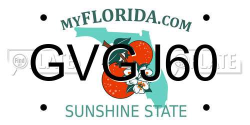 GVGJ60 Florida License Plate