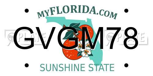 GVGM78 Florida License Plate