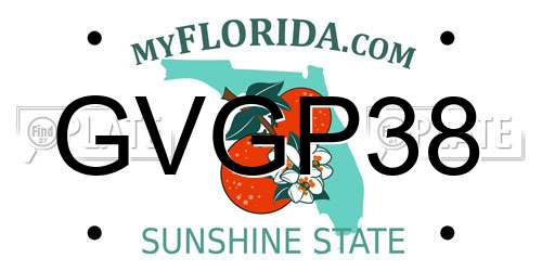 GVGP38 Florida License Plate